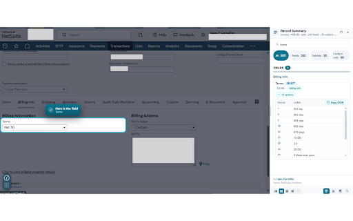 Netsuite for Consultants screenshot