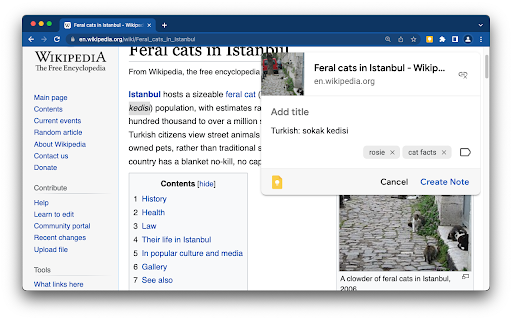 Google Keep Chrome Extension screenshot