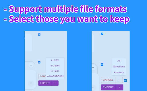DeepSeek Exporter - Extract chat convos easily screenshot