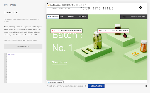 Squarespace ID Finder screenshot