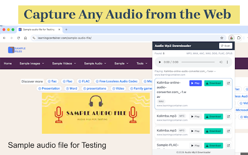Free Audio MP3 Downloader screenshot