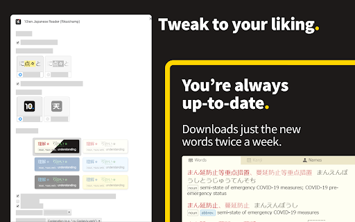 10ten Japanese Reader (Rikaichamp) screenshot