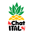 Chatital - WhatsApp Marketing icon