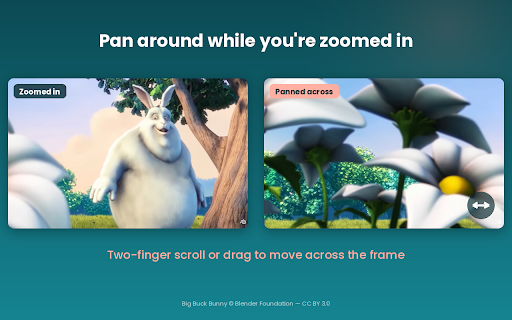 Fullscreen Video Zoom screenshot
