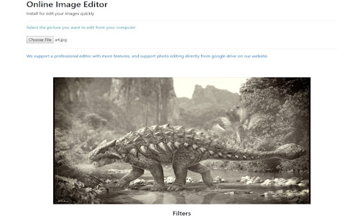 Image Editor for Google Chrome™ screenshot