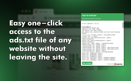 Ads.txt Analyzer screenshot