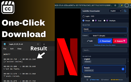 Subtitle Downloader: YouTube Netflix Disney+ Max Apple TV & Any Site screenshot