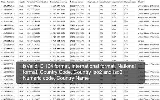 E.164 Phone Number Country Lookup screenshot