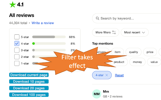 Trustpilot Reviews Exporter screenshot