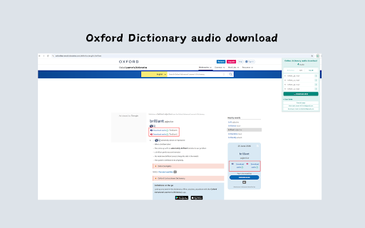 Online dictionary audio download screenshot