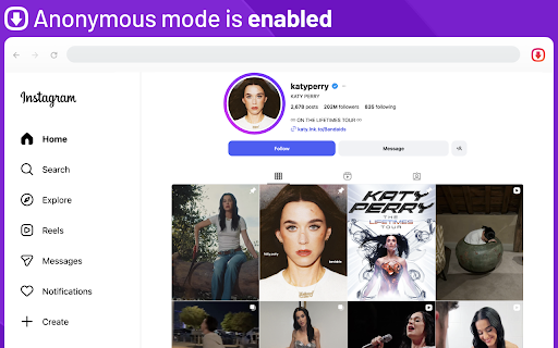 Anonymous Instagram screenshot