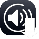 Save the ChatGpt voice icon