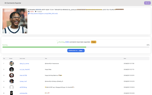 IG Comment Export Tool screenshot