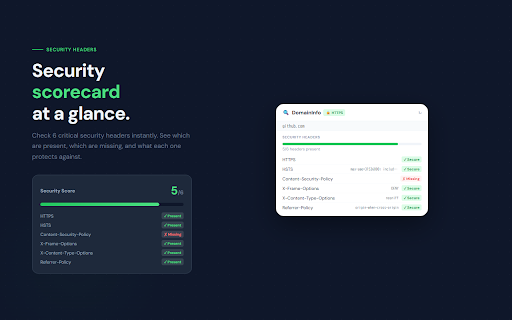 DomainInfo — Tech Stack Inspector screenshot
