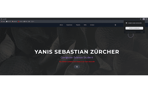 Website Code Extractor screenshot