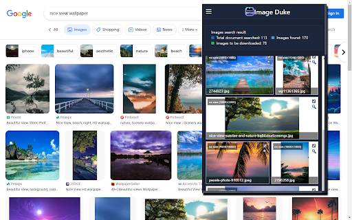 Bulk Image downloader - Image Duke screenshot