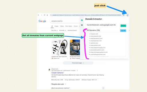 Domain Extractor screenshot