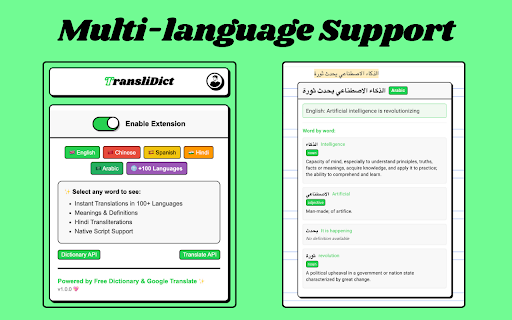 TransliDict - Instant Word Lookup & Translation screenshot