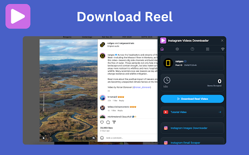 Videos Downloader for Social Media screenshot