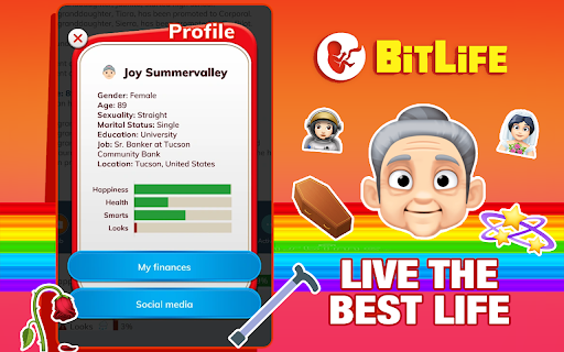 BitLife - Life Simulator screenshot