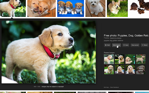 View Image screenshot