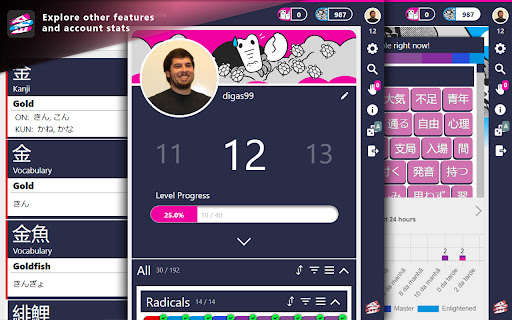 WaniKani Kanji Highlighter screenshot