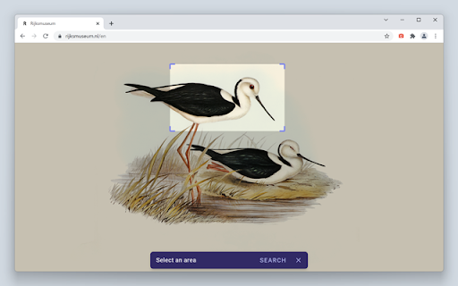 Search by Image screenshot