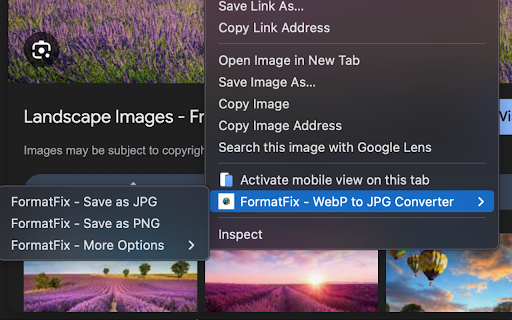 FormatFix - WebP to JPG Converter screenshot