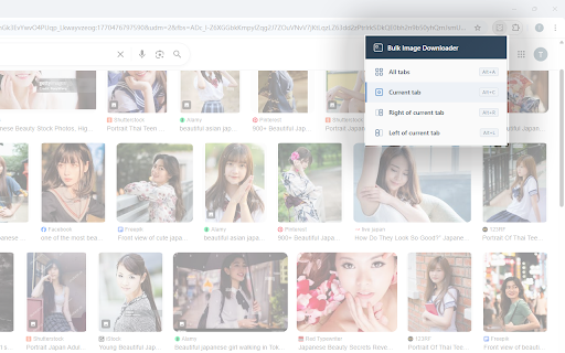 Bulk Image Downloader screenshot
