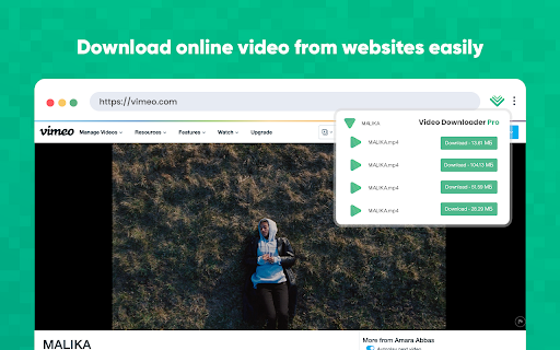 Video Downloader Pro screenshot