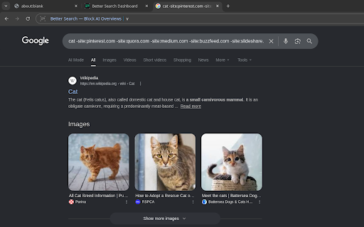 Better Search for Google screenshot