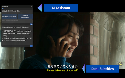 Netflix Dual Subtitles Master screenshot