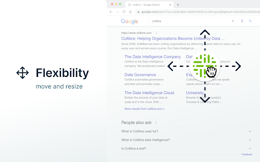 Collibra Browser Extension screenshot