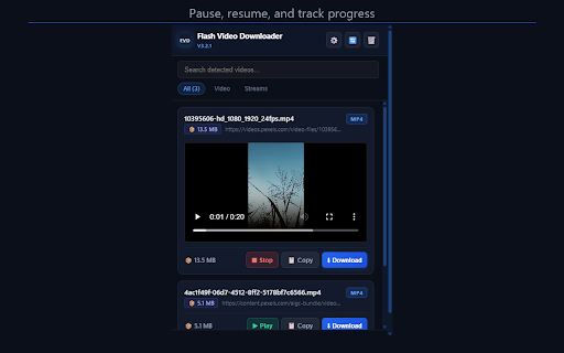 Flash Video Downloader screenshot
