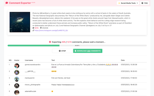 Comment Exporter screenshot