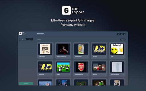 GIF Export screenshot