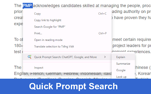 Quick Prompt Search: ChatGPT, Google, and More screenshot