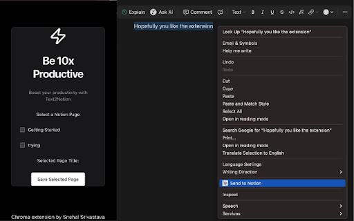 Text to Notion screenshot
