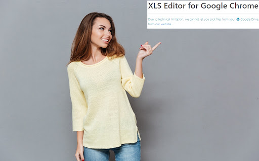 XLS Editor for Google Chrome™ screenshot
