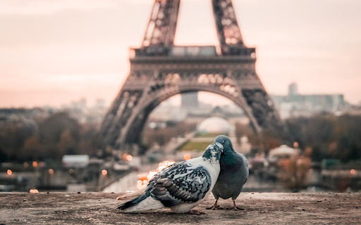 Paris Wallpaper screenshot