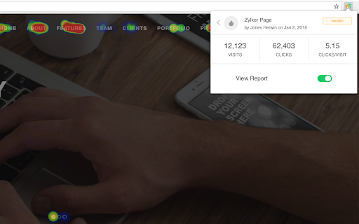 Zoho PageSense screenshot
