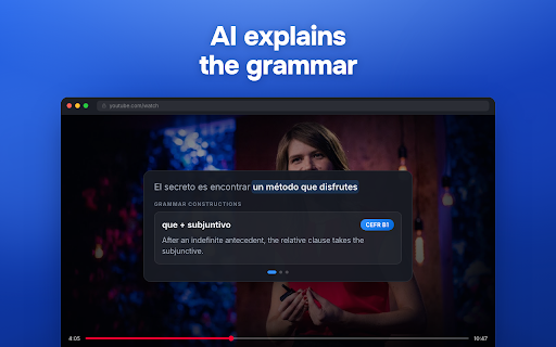 Linglass — Dual Subtitles for YouTube & Netflix screenshot