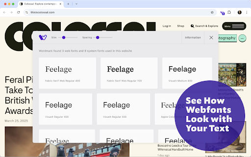 Wordmark Extension screenshot