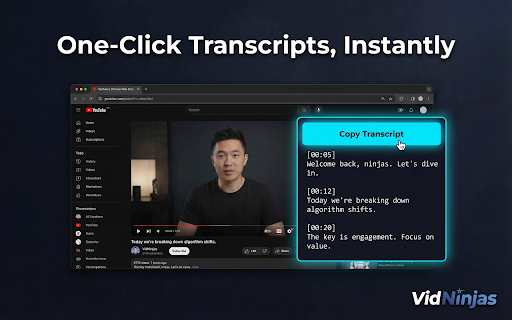 VidNinjas — YouTube Analytics & AI Creator Tools screenshot