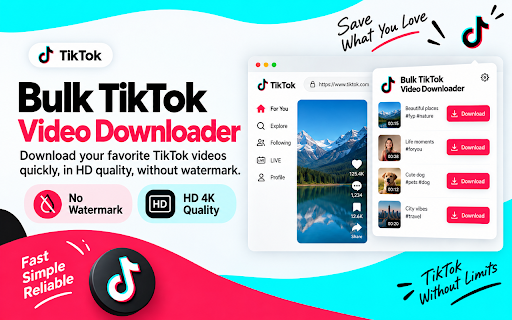 Bulk TikTok Video Downloader screenshot