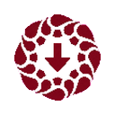 Canvas Downloader - Bulk Save Course Files icon