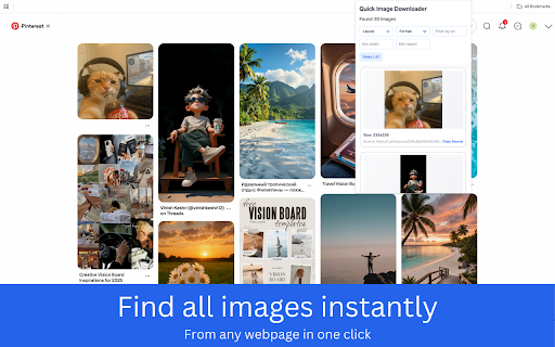 Quick Image Downloader – Bulk & Filter Images screenshot
