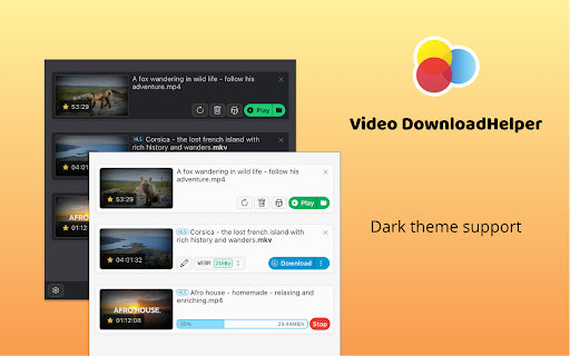Video DownloadHelper screenshot