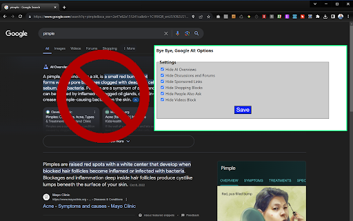 Bye Bye, Google AI: Turn off Google AI Overviews, Discussions and Ads screenshot