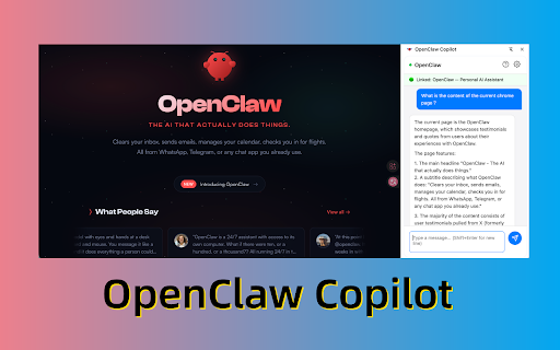 OpenClaw Copilot screenshot